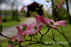 2019-web-1