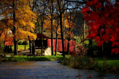 fall-bridge